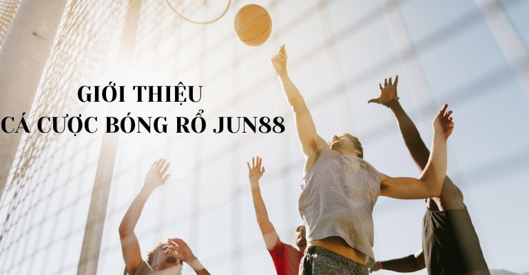 Giới thiệu và đánh giá cá cược bóng rổ Jun88